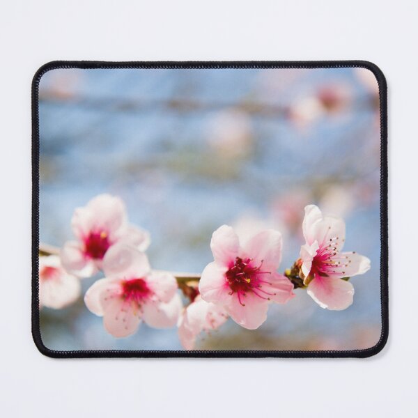Item preview, First flowers designed and sold by Delphine Comte.