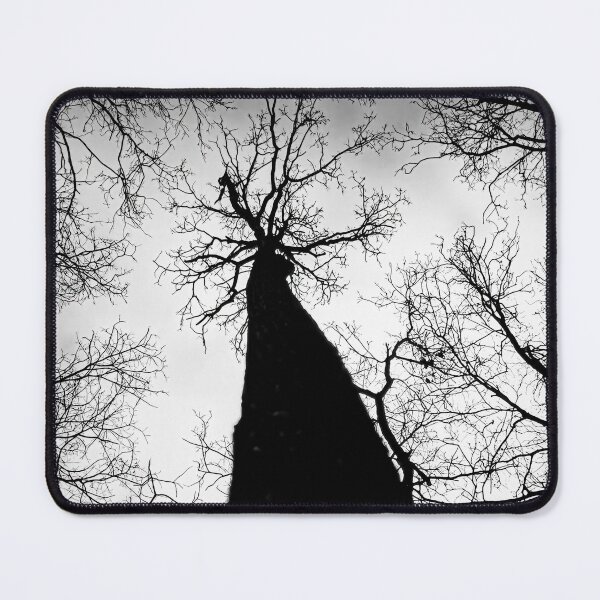 Item preview, Six Months From Summer designed and sold by Steve Walser.