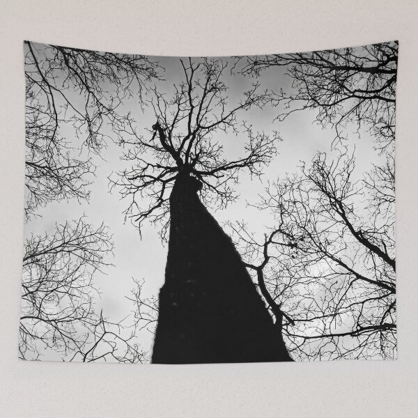 Item preview, Six Months From Summer designed and sold by Steve Walser.