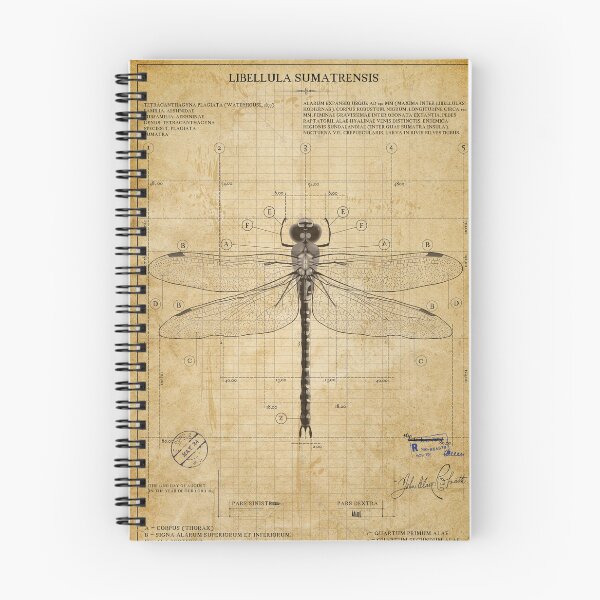 Item preview, Vintage Dragonfly Blueprint  designed and sold by Jeeklsdotcom.