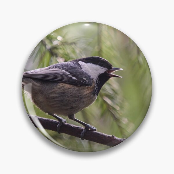 Item preview, Tweet. Coal Tit designed and sold by Jouko Lehto Photography.