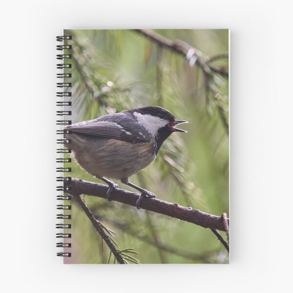 Item preview, Tweet. Coal Tit designed and sold by Jouko Lehto Photography.