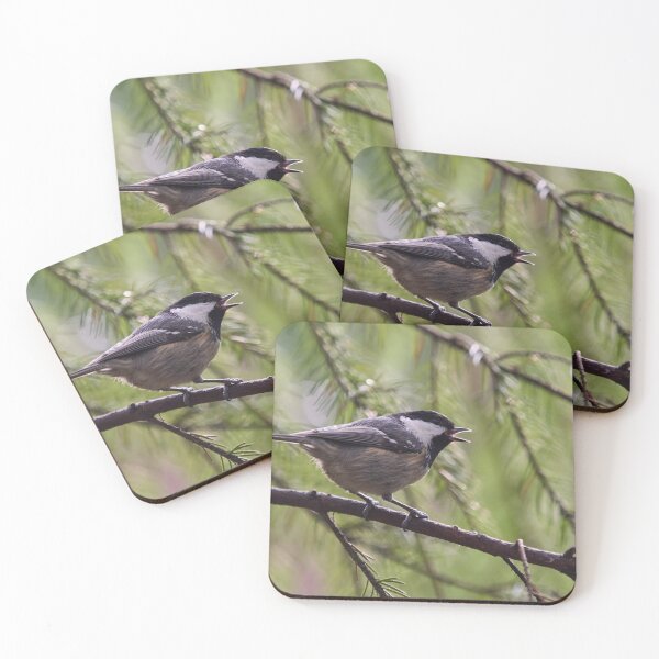 Item preview, Tweet. Coal Tit designed and sold by Jouko Lehto Photography.