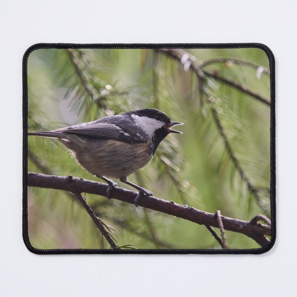Item preview, Tweet. Coal Tit designed and sold by Jouko Lehto Photography.