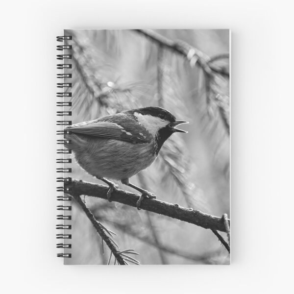 Item preview, Tweet. Coal Tit bw designed and sold by Jouko Lehto Photography.