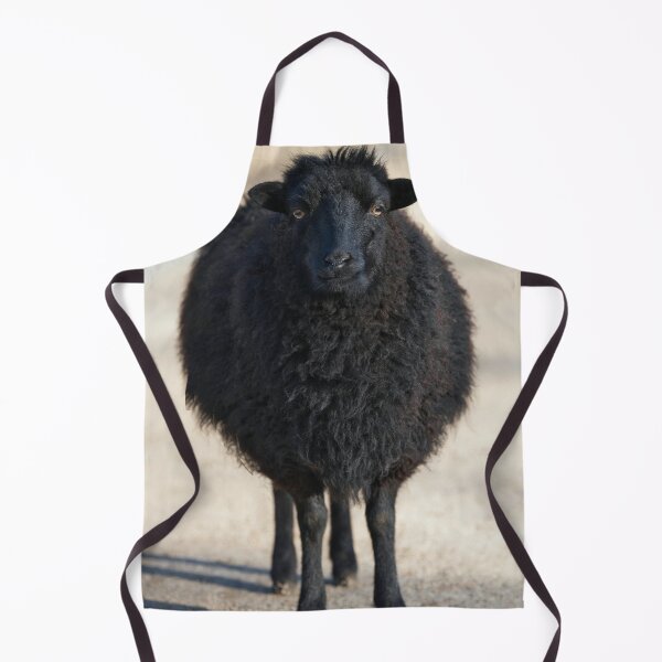 Item preview, Black sheep standing on a rural path, photographed in natural light designed and sold by RastislavS.