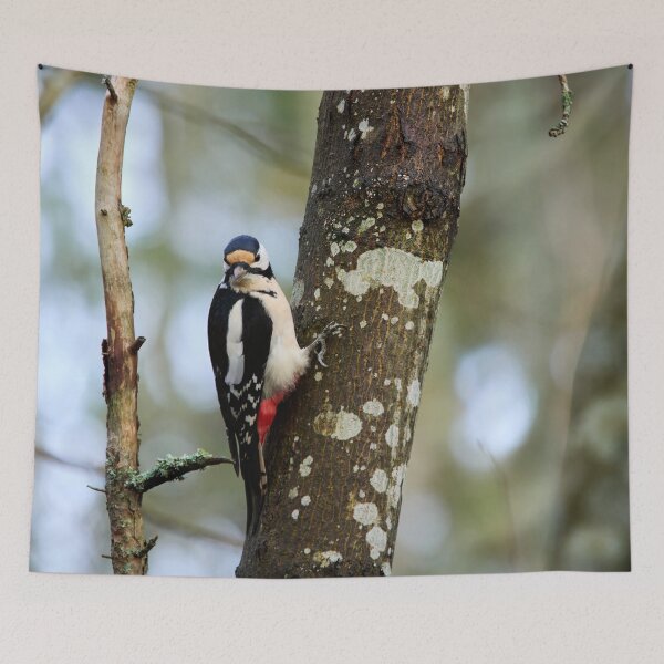 Item preview, Hey what. Great Spotted Woodpecker designed and sold by Jouko Lehto Photography.