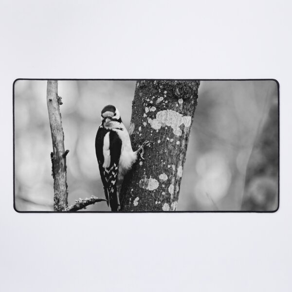 Item preview, Hey what. Great Spotted Woodpecker bw designed and sold by Jouko Lehto Photography.