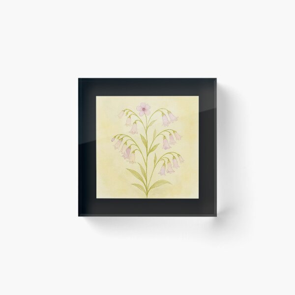 Item preview, Nardostachys grandiflora (spikenard) flowers#6 designed and sold by Helios Be. Lavsh.