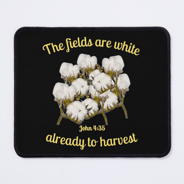 Item preview,  White Cotton Fields John 4:35 designed and sold by RhondaCGoins.