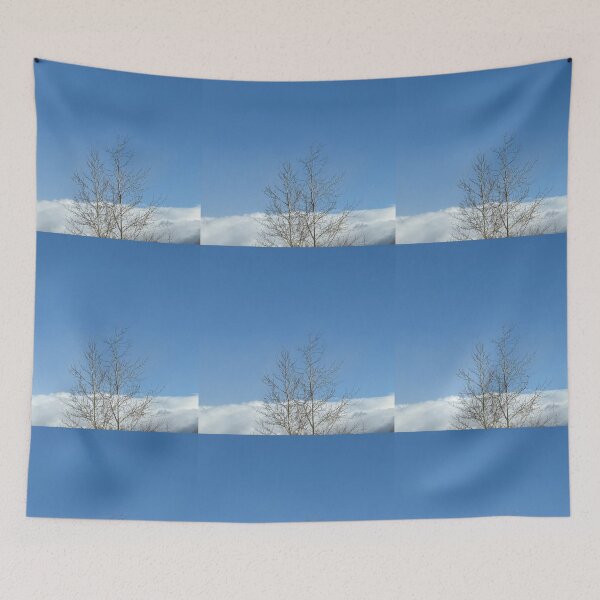 Item preview, About to Snow in Flagstaff 12/27/2025 by ElitebyElise designed and sold by ElitebyElise.