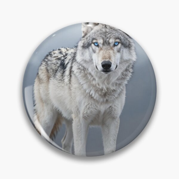 Artikelvorschau, Winterwolf entworfen und verkauft von JulioGuillermo.