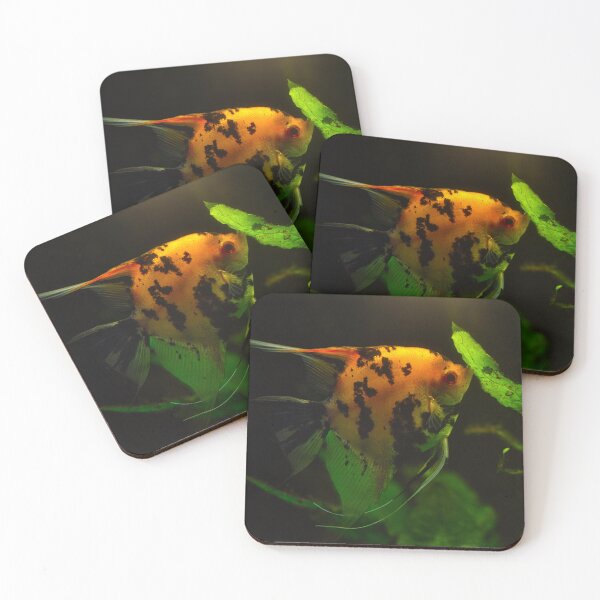 Item preview, Colorful freshwater angelfish swimming among green aquatic plants in an aquarium designed and sold by RastislavS.