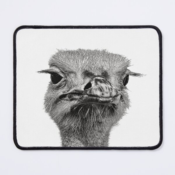 Item preview, Portrait of an annoyed ostrich designed and sold by shackledlettuce.