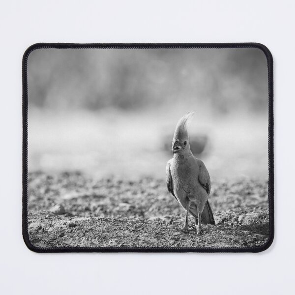 Item preview, The Go-Away Bird In Black and White designed and sold by Kay Brewer.