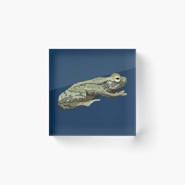 Item preview, A is for Asian River Toad, Asian River Toad | Amphibian & Wildlife Art Design designed and sold by PrettylittlepastelUk.