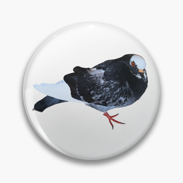 Item preview, Roberta the pigeon designed and sold by di-Vera-Rosati.