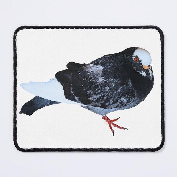 Item preview, Roberta the pigeon designed and sold by di-Vera-Rosati.