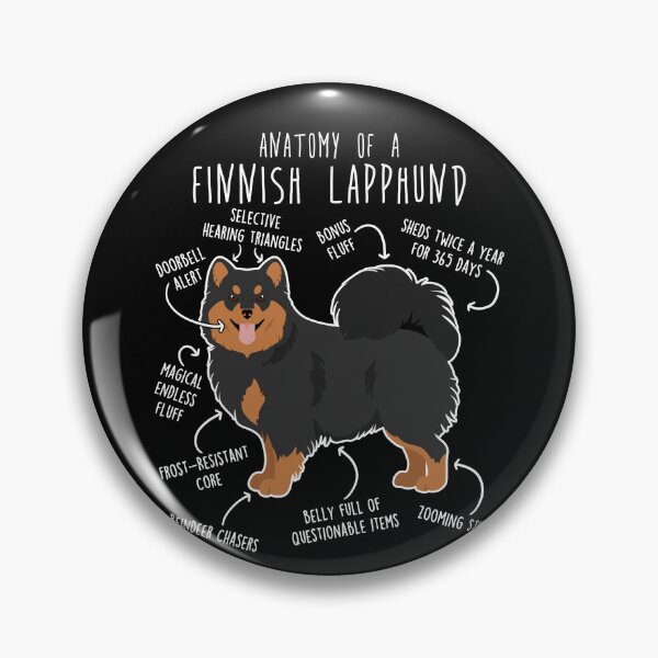 Artikelvorschau, Anatomie des Finnischen Lapphundes entworfen und verkauft von Clara Hollins.