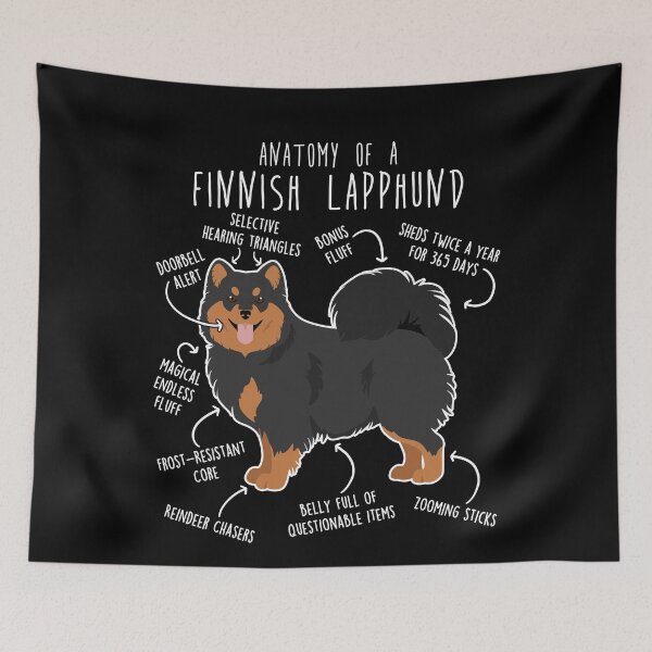 Item preview, Finnish Lapphund Dog Anatomy designed and sold by Clara Hollins.