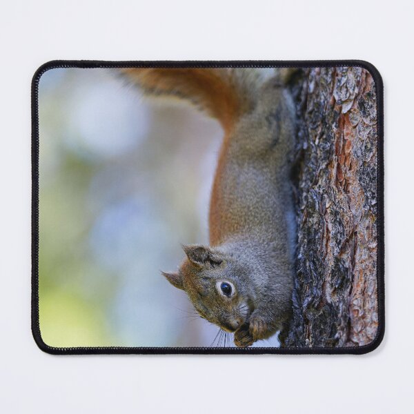 Item preview, Lunch on the Go designed and sold by Gralyn Boyd.