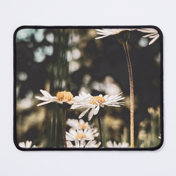Item preview, Daisy photography: Change of perspective designed and sold by Brinax.
