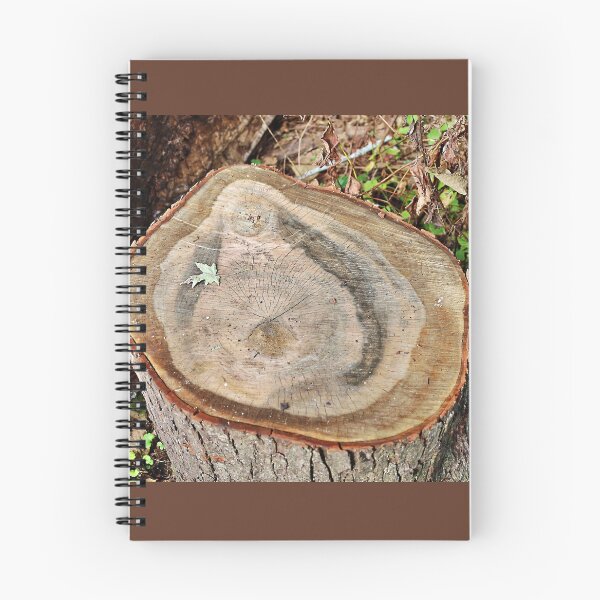 Item preview, The Stories I Could Tell designed and sold by Martha Sherman.