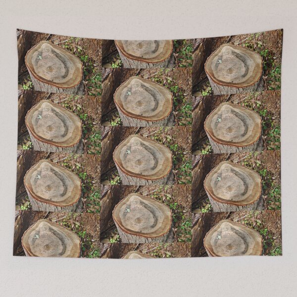 Item preview, The Stories I Could Tell designed and sold by Martha Sherman.