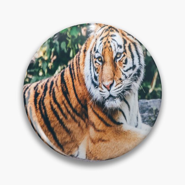 Item preview, Wild Majesty Resting in Forest Calm designed and sold by designer02store.