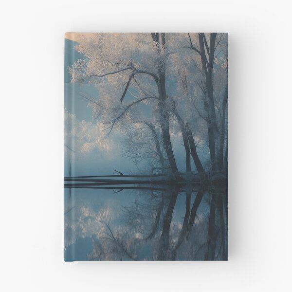 Item preview, Equilibrium of Silence designed and sold by oanaunciuleanu.