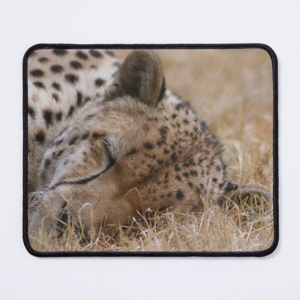 Item preview, Cheetah Nap designed and sold by Gralyn Boyd.