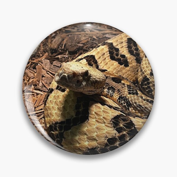 Item preview, Rattlesnake Photography designed and sold by dearlylilyart.