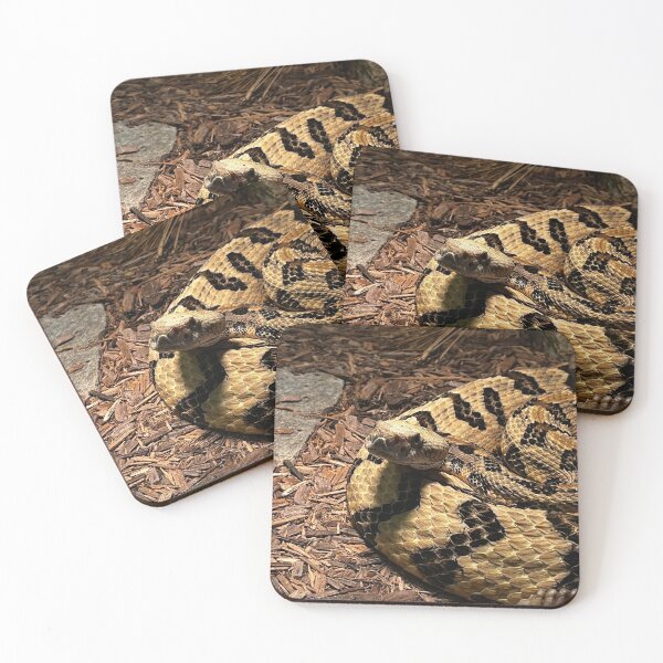 Item preview, Rattlesnake Photography designed and sold by dearlylilyart.