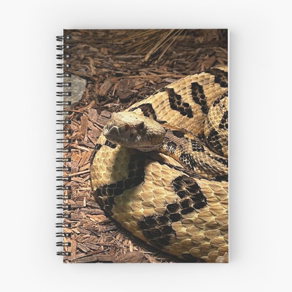 Item preview, Rattlesnake Photography designed and sold by dearlylilyart.