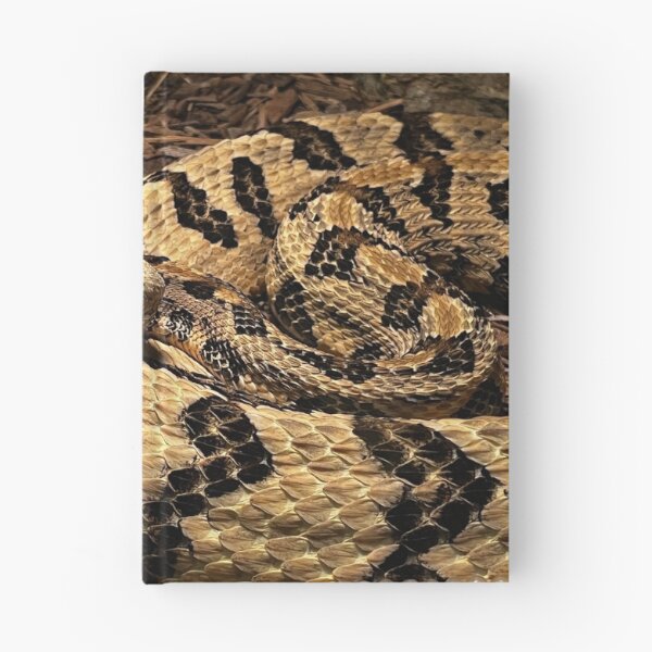 Item preview, Rattlesnake Photography designed and sold by dearlylilyart.