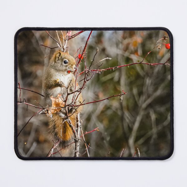 Item preview, Muncher designed and sold by Gralyn Boyd.