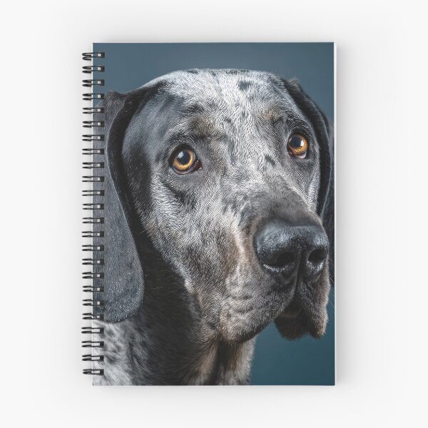 Item preview, Grand Bleu de Gascogne Portrait designed and sold by Elisabeth Lucas.