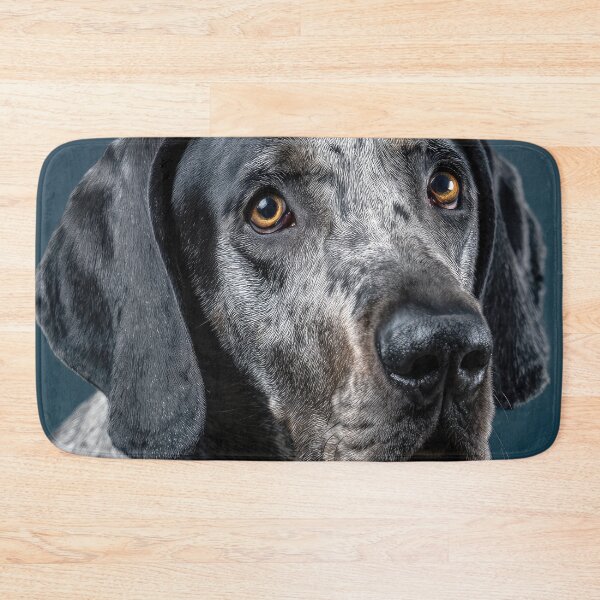Item preview, Grand Bleu de Gascogne Portrait designed and sold by Elisabeth Lucas.