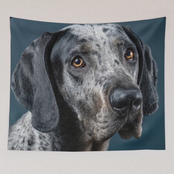 Item preview, Grand Bleu de Gascogne Portrait designed and sold by Elisabeth Lucas.