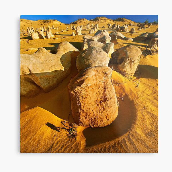 Nambung National Park, WA Metal Print