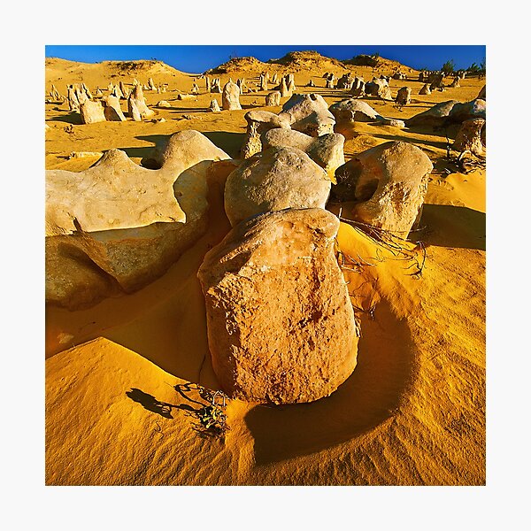 Nambung National Park, WA Photographic Print