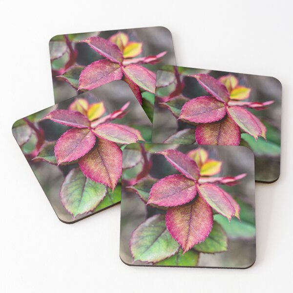 Item preview, Rose Leaves with Soft Background designed and sold by Rabee Khalil Photography.