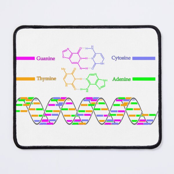 Item preview, Color-Coded DNA Double Helix designed and sold by Zanthius.