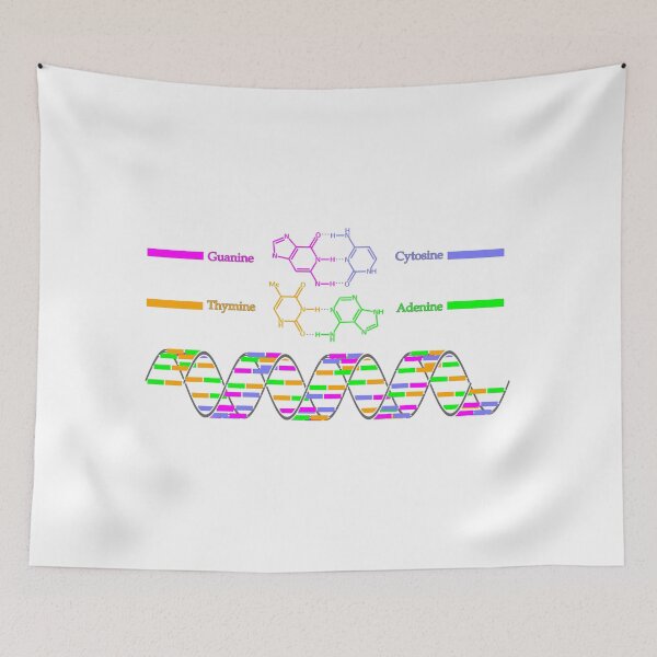 Item preview, Color-Coded DNA Double Helix designed and sold by Zanthius.