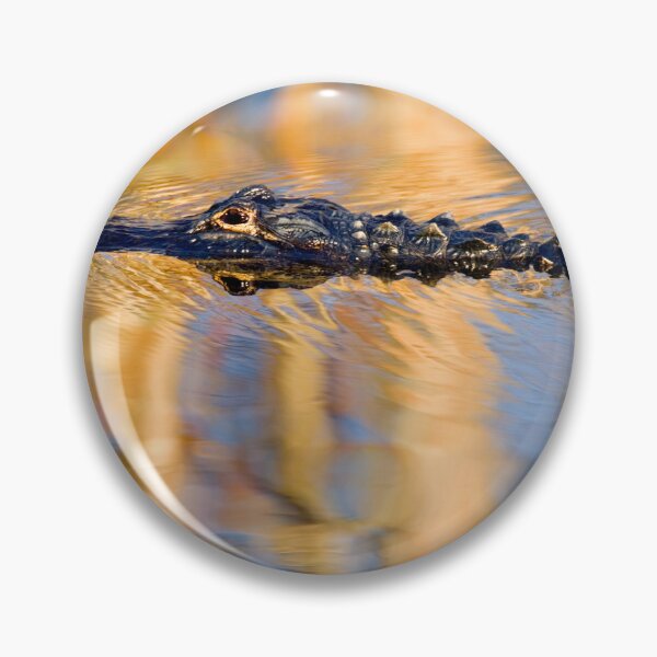 Artikelvorschau, Lethal Reflections entworfen und verkauft von DawsonImages.