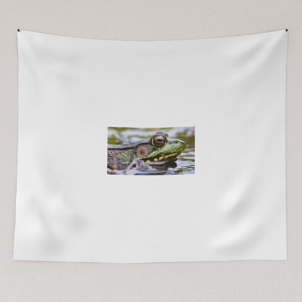 Item preview, Bullfrog, up close and personal designed and sold by colorfulbundles.
