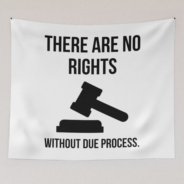 Item preview, There are no rights without due process.  designed and sold by Rachel the Artist .