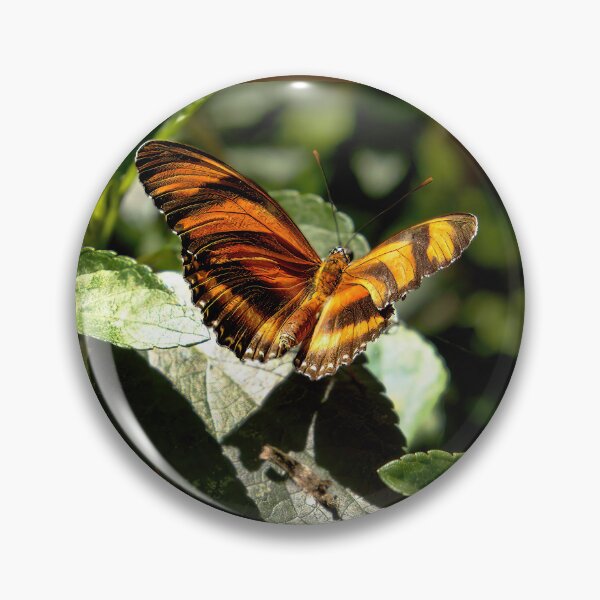 Item preview, Dryadula Phaetusa, Banded Orange Heliconian designed and sold by Armadillo222.