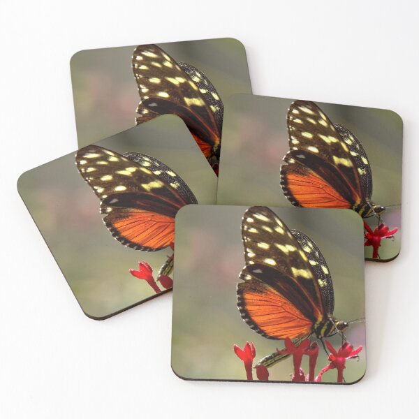 Item preview, Heliconius Hecale, the Tiger Longwing designed and sold by Armadillo222.