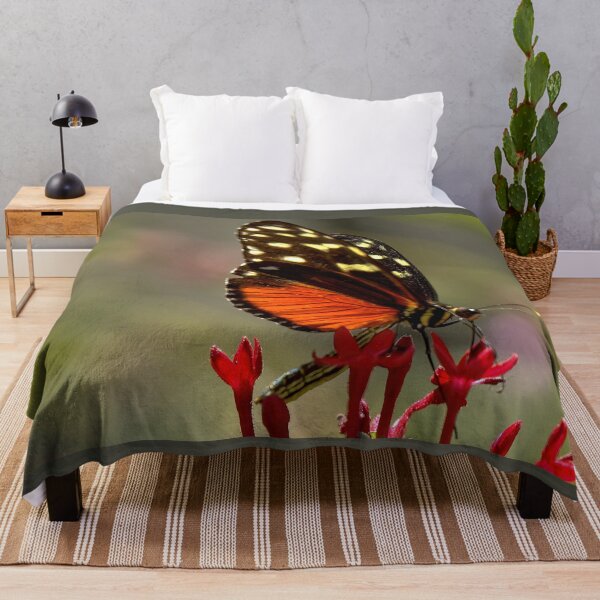 Item preview, Heliconius Hecale, the Tiger Longwing designed and sold by Armadillo222.